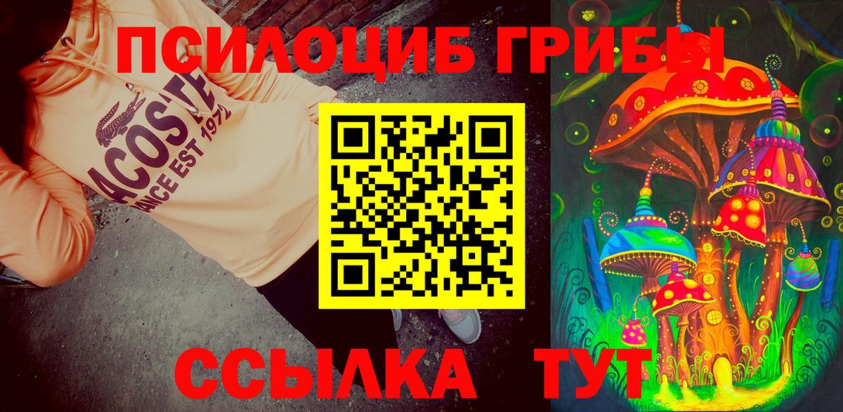 Псилоцибиновые грибы мухоморы Хасавюрт