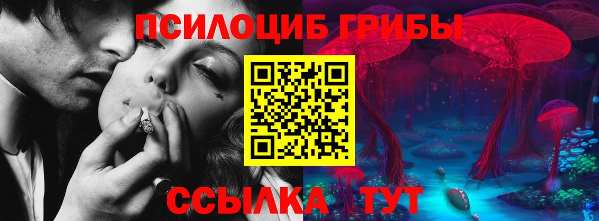 Псилоцибиновые грибы Psilocybe  как найти закладки  Хасавюрт  Вход с VPN 